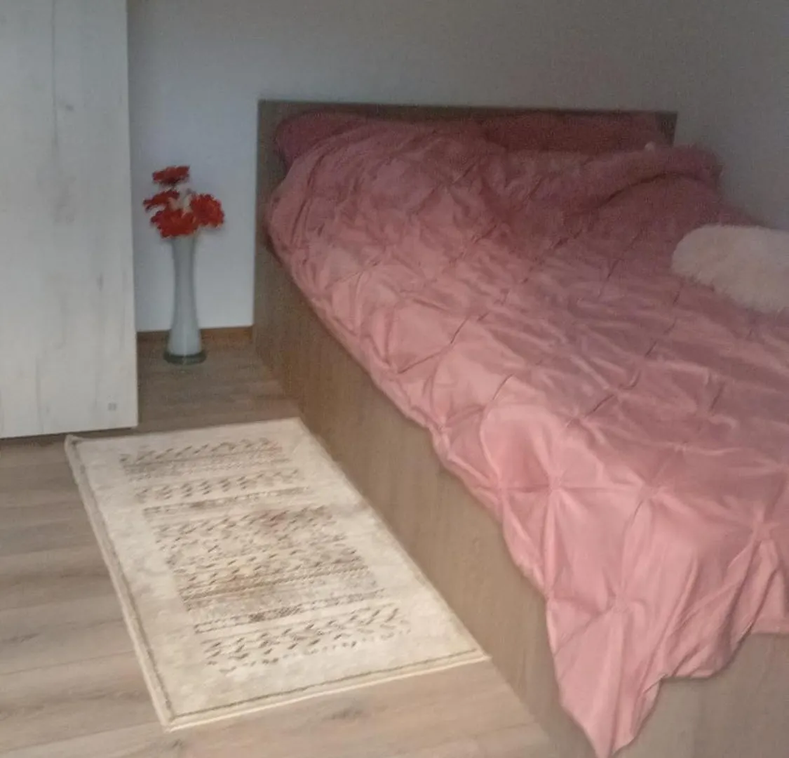 Lucyana Home'S 布加勒斯特