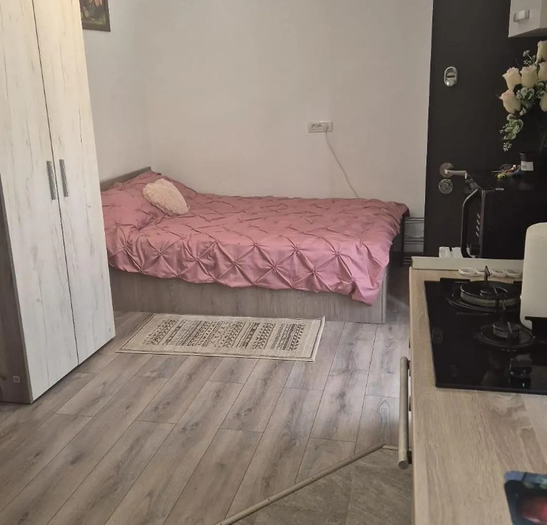 Lucyana Home'S 布加勒斯特